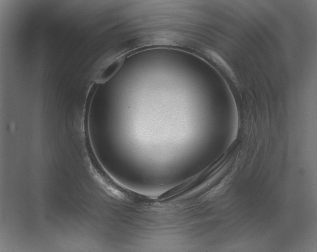 X0000073510938200607311315