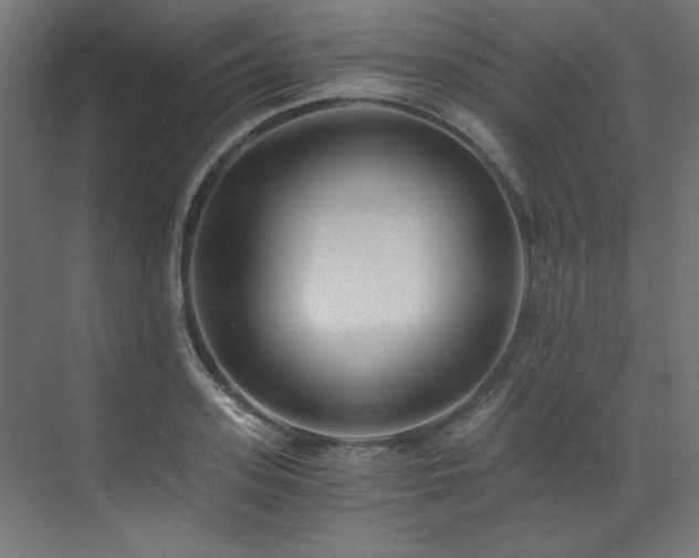 X0000073510939200607311315