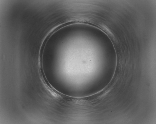 X0000073510940200607311315