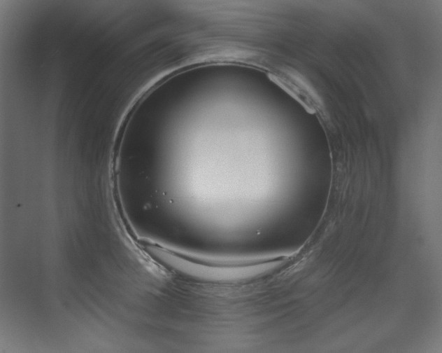 X0000073510948200607311315