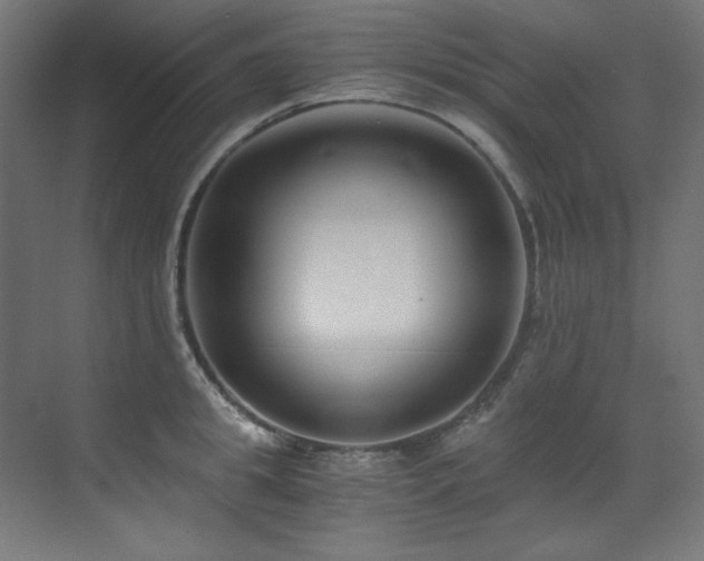 X0000073510949200607311315