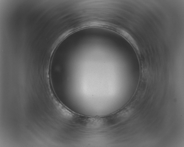 X0000073510954200607311315