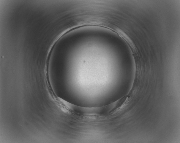 X0000073510956200607311315