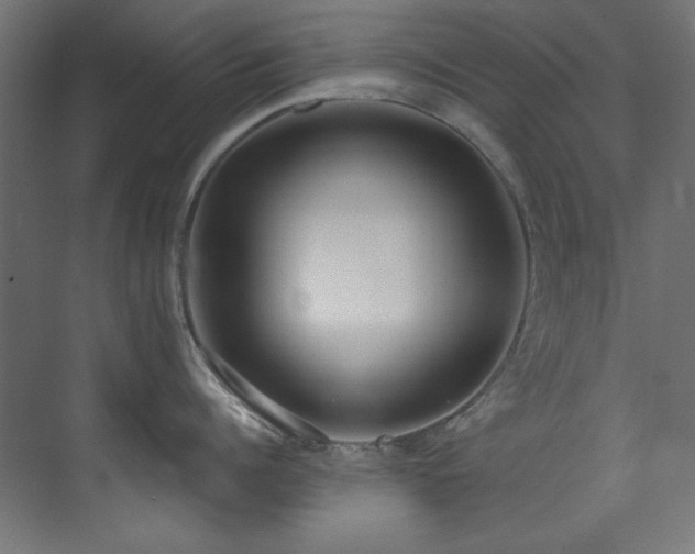 X0000073510960200607311315