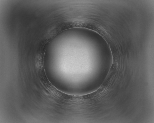 X0000073510964200607311314
