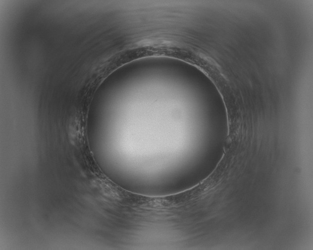 X0000073510966200607311314