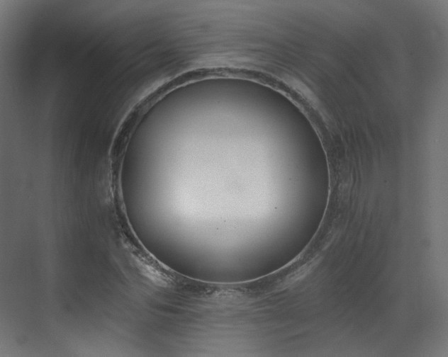 X0000073510974200607311314