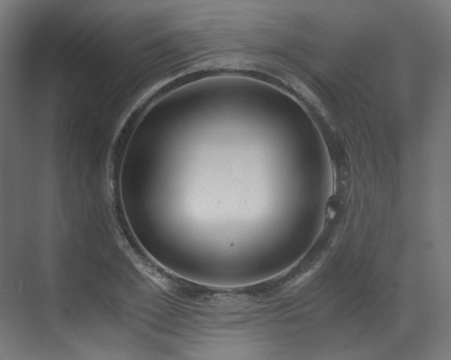 X0000073510981200607311314