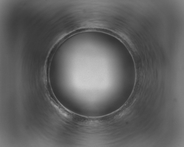 X0000073510982200607311314