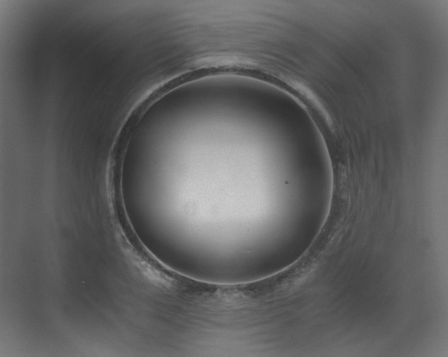 X0000073510983200607311314
