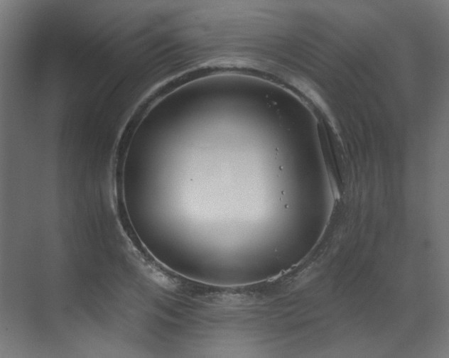 X0000073510984200607311314