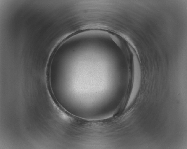 X0000073510995200607311314