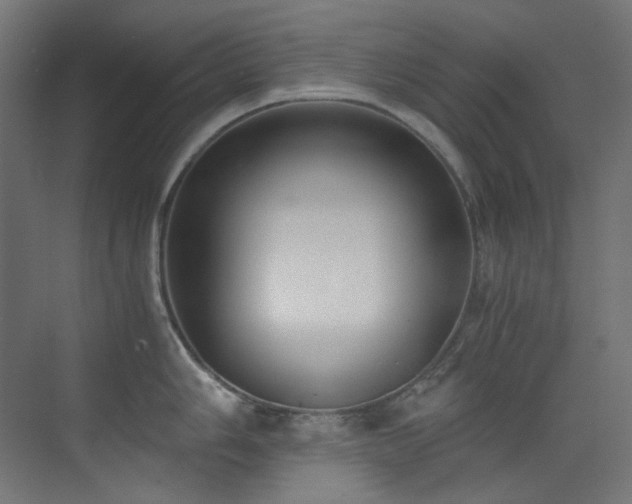 X0000073511006200607311314