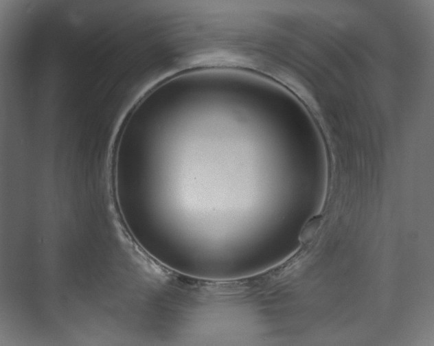 X0000073511008200607311313