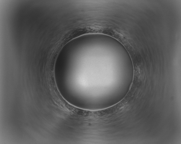 X0000073511009200607311313