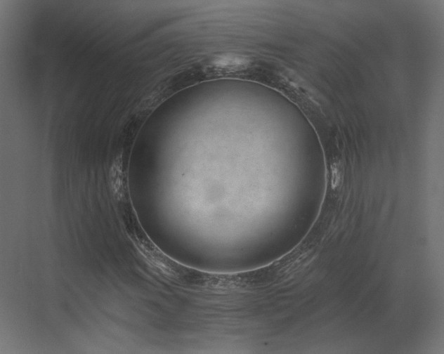 X0000073511011200607311313