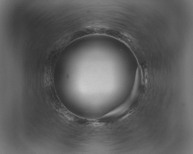 X0000073511014200607311313