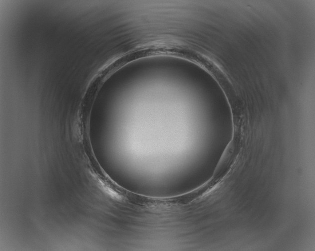 X0000073511018200607311313