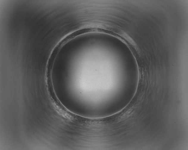 X0000073511020200607311313