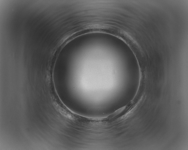 X0000073511025200607311313