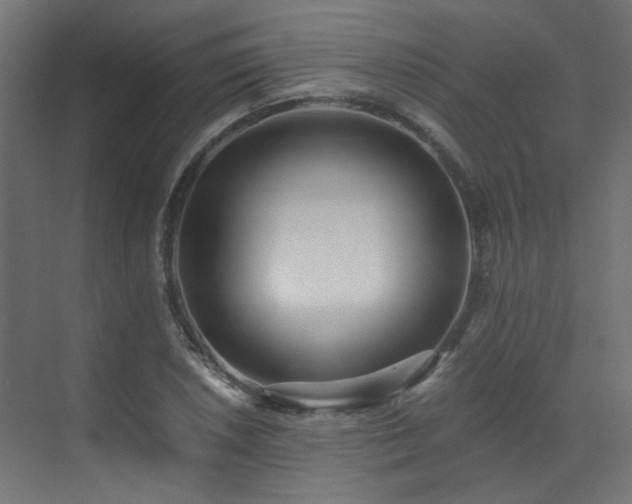 X0000073511026200607311313