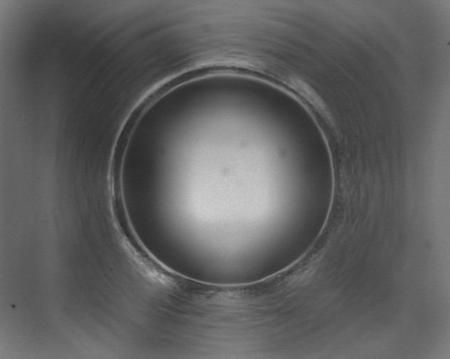 X0000073511028200607311313