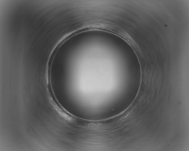 X0000073511036200607311313