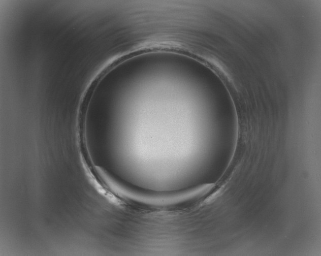 X0000073511038200607311313