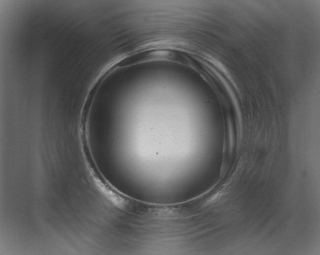 X0000073511042200607311313