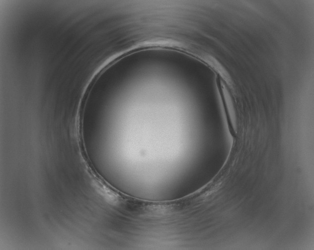 X0000073511044200607311313