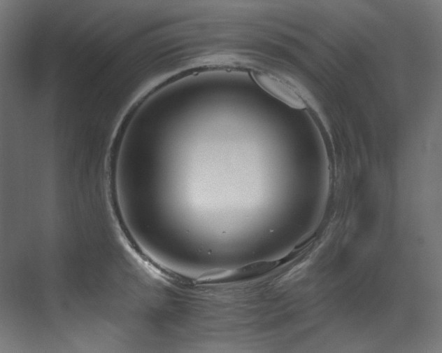 X0000073511045200607311313