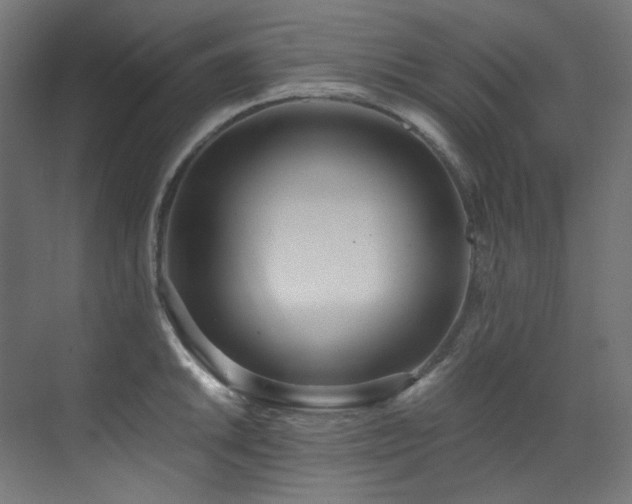 X0000073511046200607311313