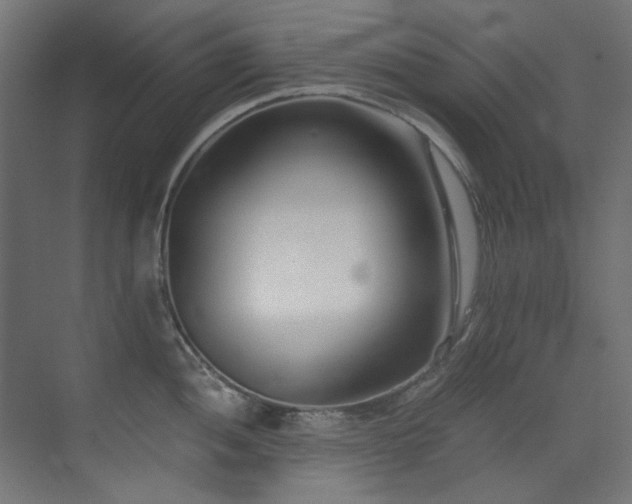 X0000073511052200607311313