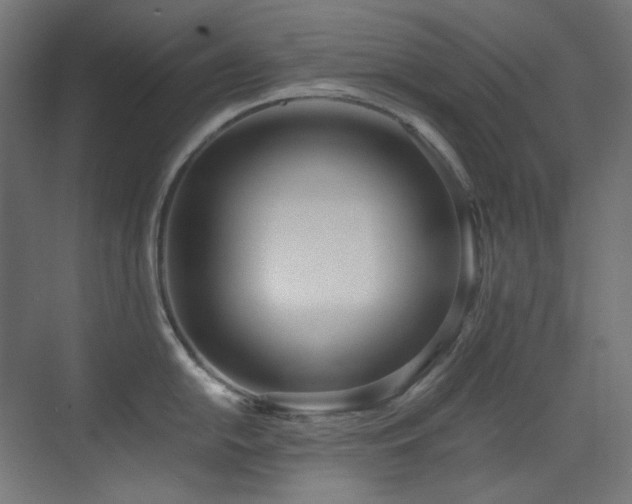 X0000073511054200607311313