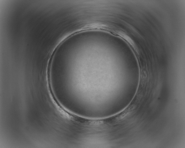 X0000073511055200607311313