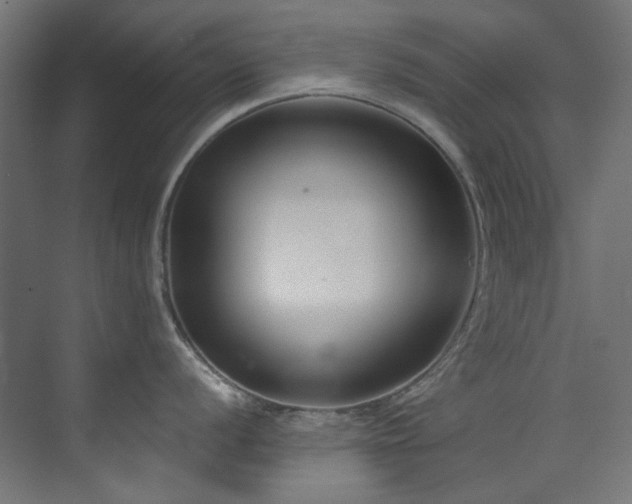 X0000073511056200607311313