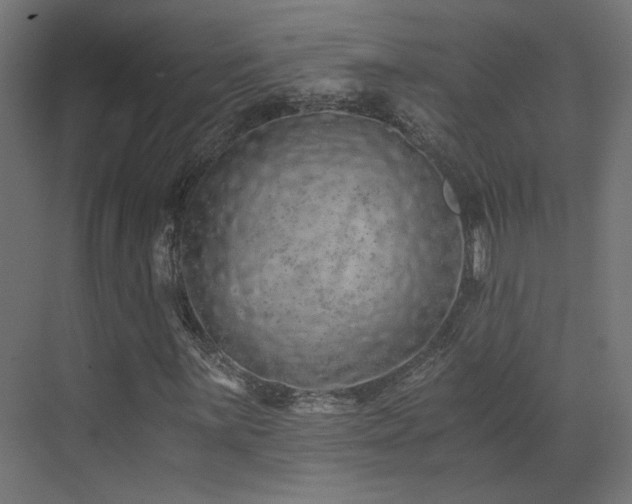 X0000073511059200607311313