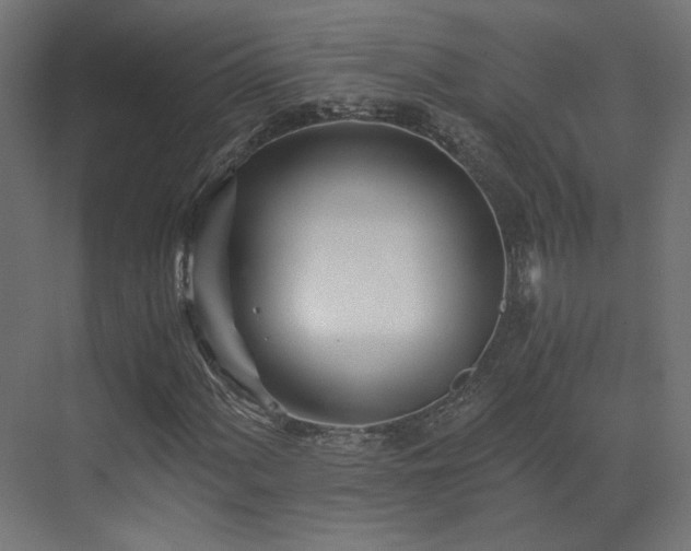 X0000073511060200607311313