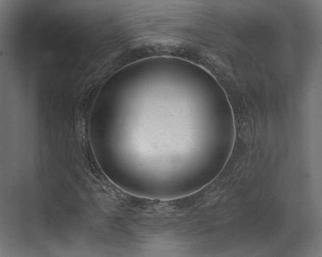 X0000073511061200607311313