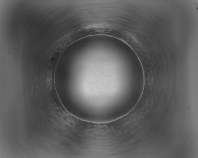 X0000073511062200607311313