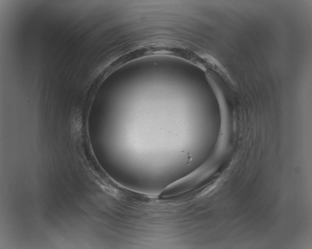 X0000073511065200607311313