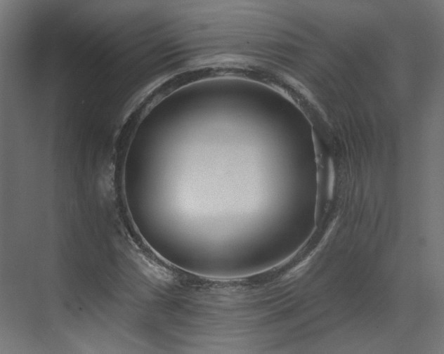 X0000073511066200607311312