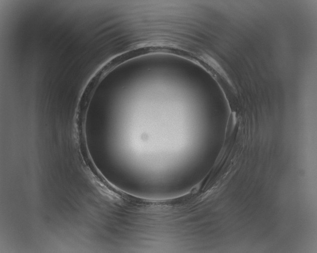 X0000073511068200607311312