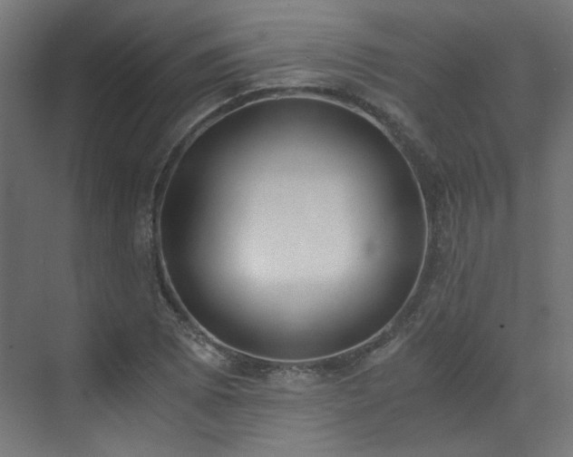 X0000073511073200607311312