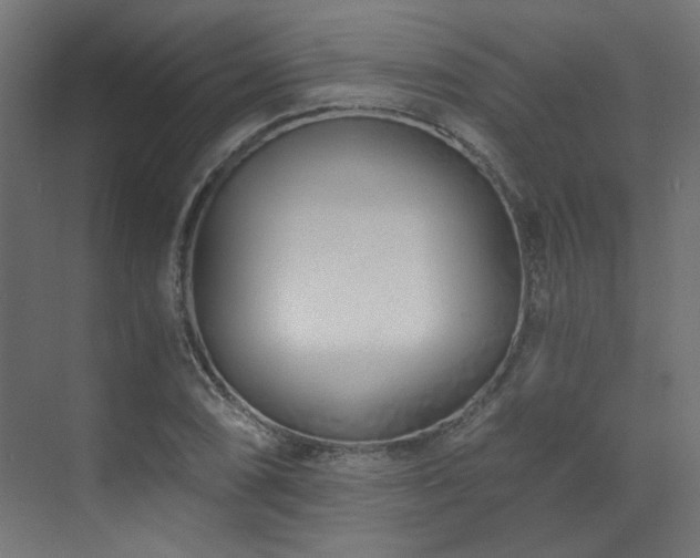 X0000073511074200607311312