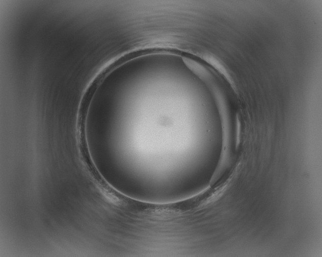 X0000073511077200607311312