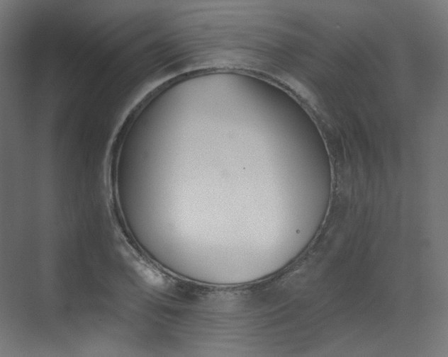 X0000073511078200607311312