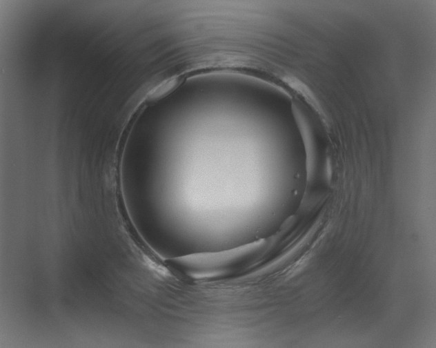 X0000073511081200607311312