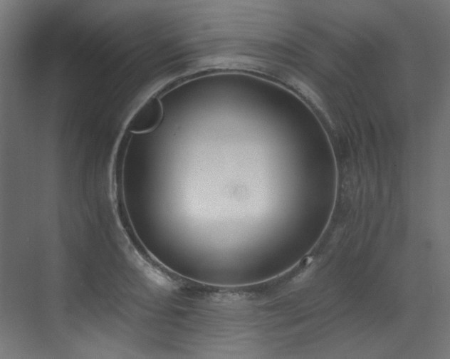 X0000073511082200607311312