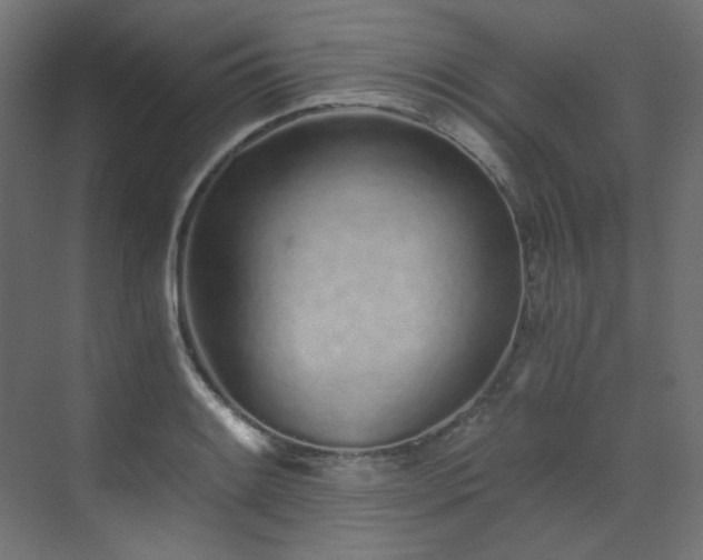 X0000073511084200607311312